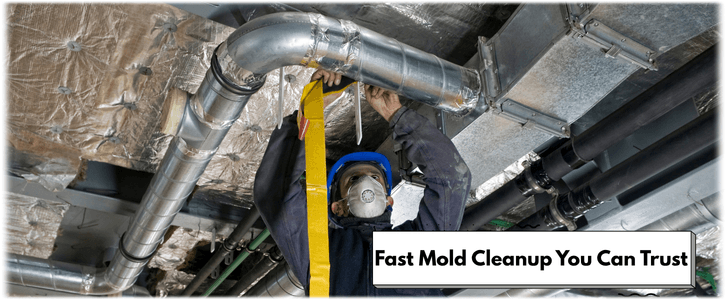 Air Duct Mold Removal in Alexandria