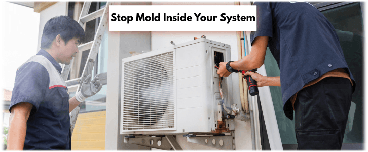 HVAC Mold Removal Alexandria